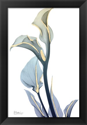 Framed Gold Splash Calla Lily Print