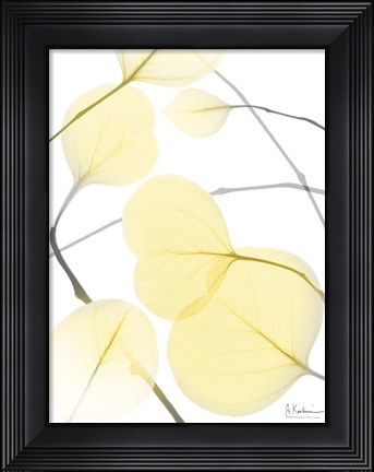 Framed Illuminated Eternity 2 Print