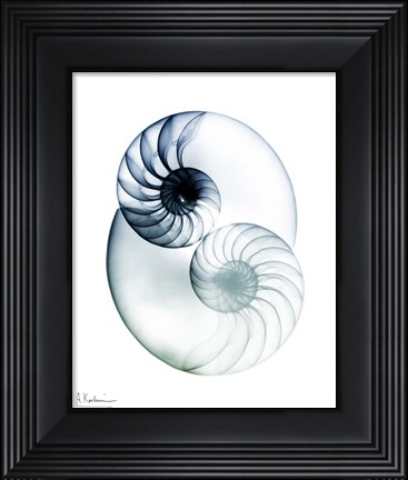 Framed Crystal Breeze 2 Print