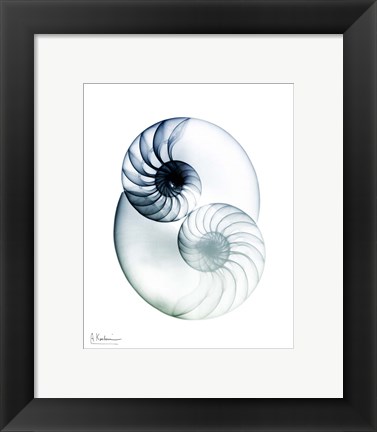 Framed Crystal Breeze 2 Print