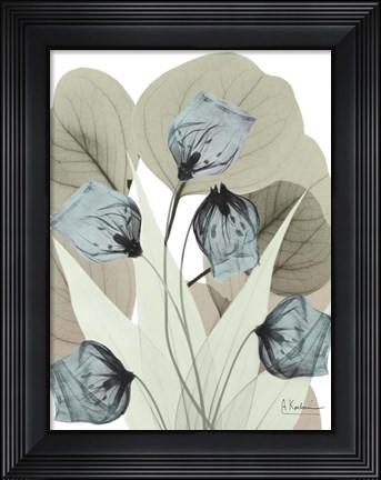 Framed Icy Declaration 2 Print