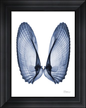 Framed Angel Wings Print