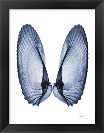 Framed Angel Wings Print