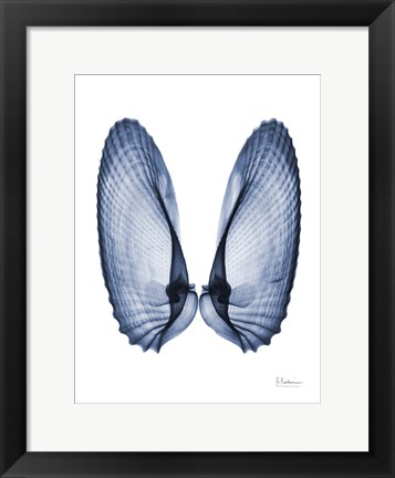 Framed Angel Wings Print