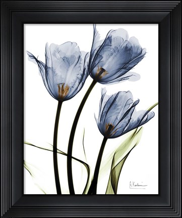 Framed Indigo Infused Tulips Print