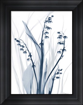 Framed Radiant Blues 2 Print