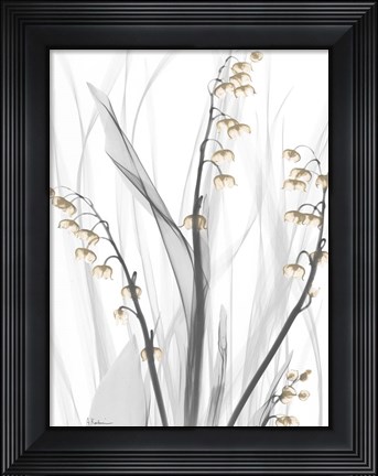 Framed Delightful Oasis 3 Print
