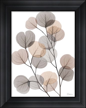 Framed Earthy Eucalyptus Bunch Print