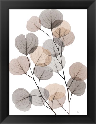 Framed Earthy Eucalyptus Bunch Print