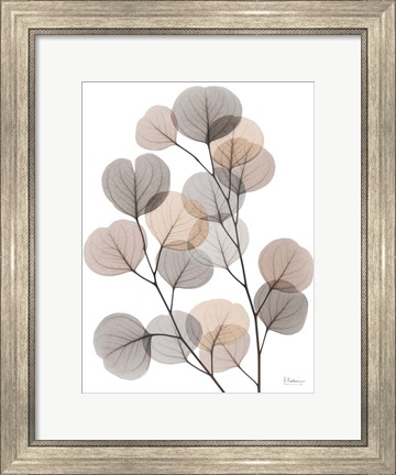 Framed Earthy Eucalyptus Bunch Print