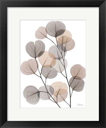 Framed Earthy Eucalyptus Bunch Print