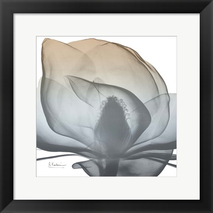 Framed Magnolia Earthy Beauty New Print