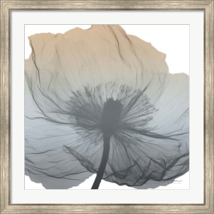 Framed Poppy Earthy Beauty Print