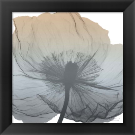 Framed Poppy Earthy Beauty Print