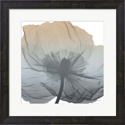 Framed Poppy Earthy Beauty Print