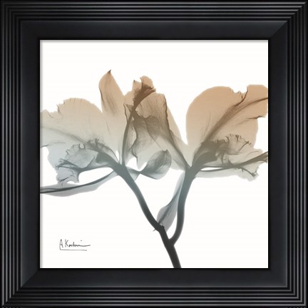 Framed Earthy Orchid Print