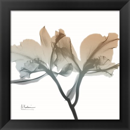 Framed Earthy Orchid Print