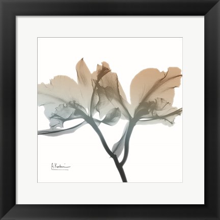 Framed Earthy Orchid Print