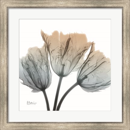 Framed Earthy Tulips Print