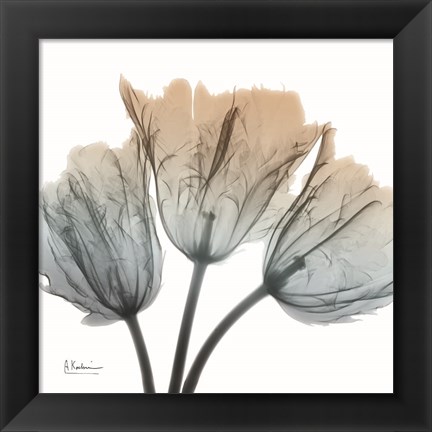 Framed Earthy Tulips Print