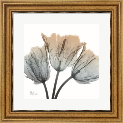 Framed Earthy Tulips Print