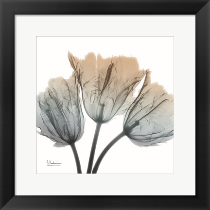 Framed Earthy Tulips Print