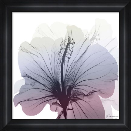 Framed Tasty Grape Hibiscus Print