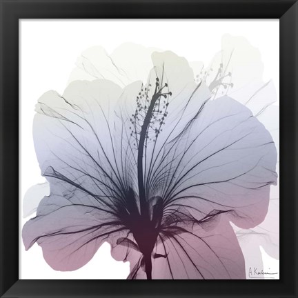 Framed Tasty Grape Hibiscus Print