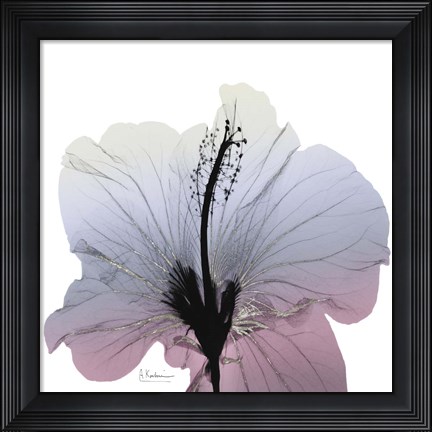 Framed Silver Splash 1 Print