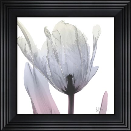 Framed Silver Splash 2 Print