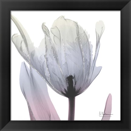 Framed Silver Splash 2 Print