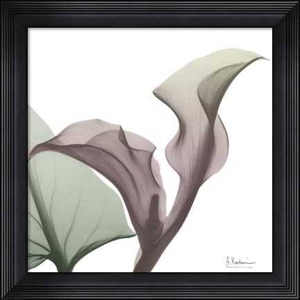 Framed Natural Luster Callaqua Print