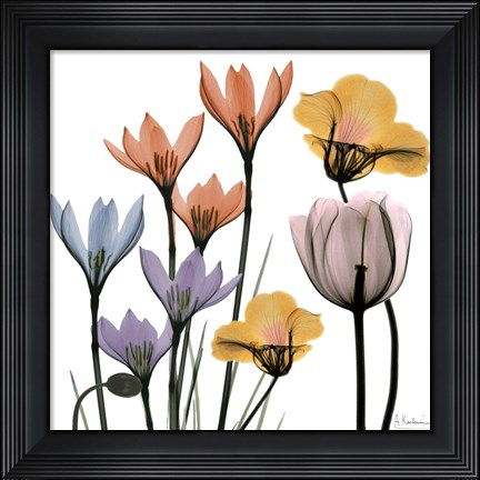Framed Blissful Garden 1 Print