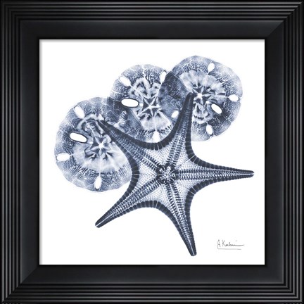 Framed Indigo Starfish and Sand Dollar Print
