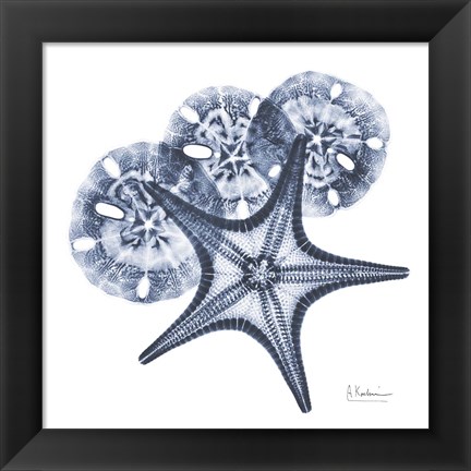 Framed Indigo Starfish and Sand Dollar Print