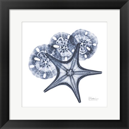 Framed Indigo Starfish and Sand Dollar Print