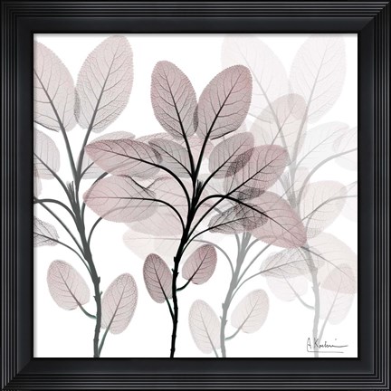 Framed Embraced Affection Print