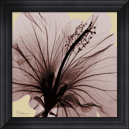 Framed Spring Hibiscus Print