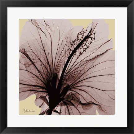 Framed Spring Hibiscus Print