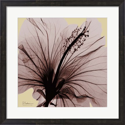 Framed Spring Hibiscus Print