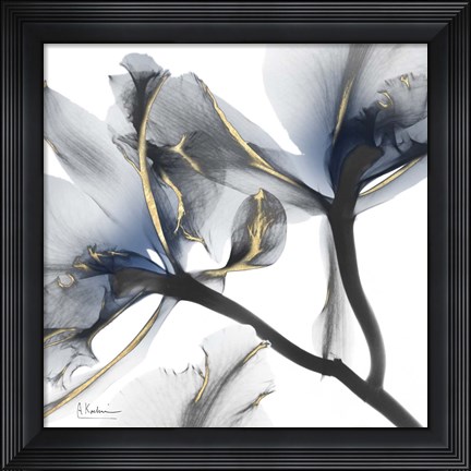 Framed Indigo Luster Cyclamen 2 Print