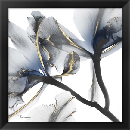 Framed Indigo Luster Cyclamen 2 Print