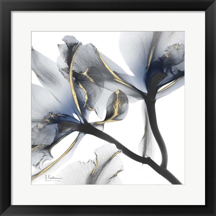 Framed Indigo Luster Cyclamen 2 Print