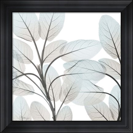 Framed Sandy Blooms 1 Print