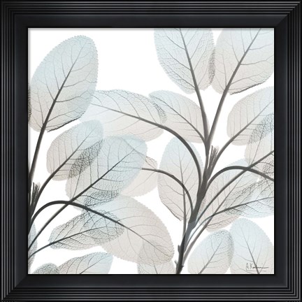 Framed Sandy Blooms 2 Print