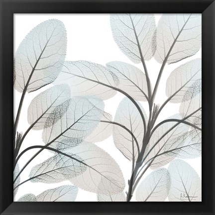 Framed Sandy Blooms 2 Print
