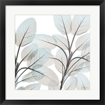 Framed Sandy Blooms 2 Print