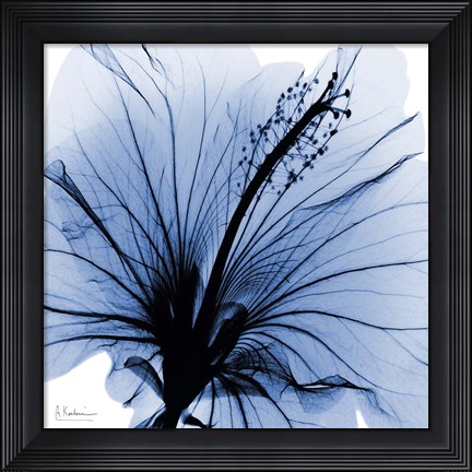 Framed Indigo Hibiscus Turn Print