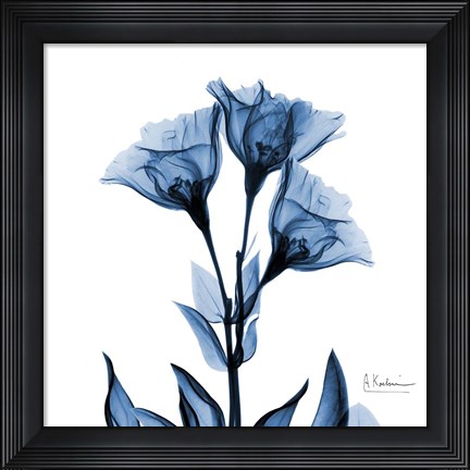 Framed Indigo Gentian Print