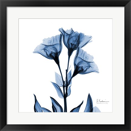 Framed Indigo Gentian Print